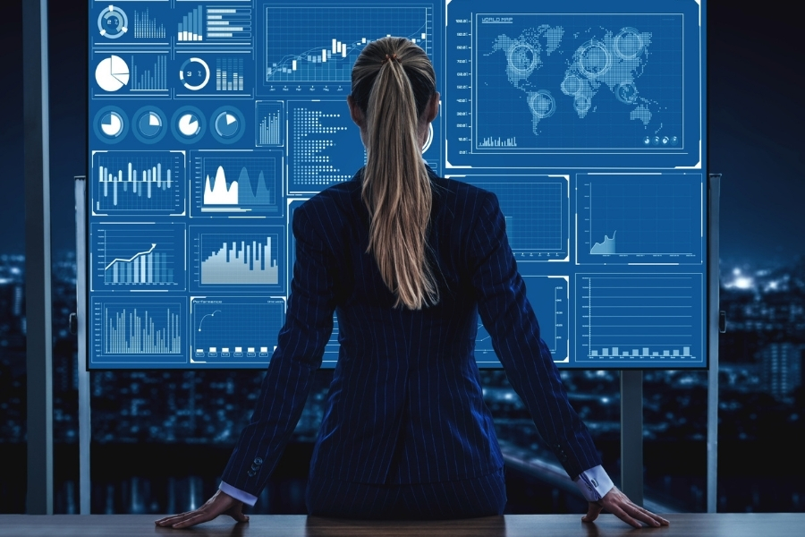 Veri Analisti (Data Analyst)